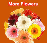 Send Flowers to Elurul