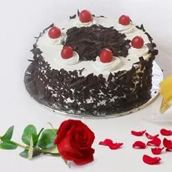 Send Cake with Single Rose to India