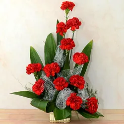 Order One Dozen Carnations Bouquet online