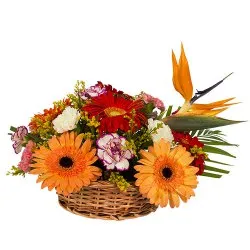 Send online Carnations N Gerberas Basket