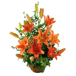 Send online Orange Lilies Basket