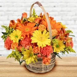 Send Seasonal Flowers Basket to India