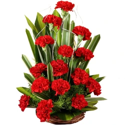 Buy Red Carnations Basket online