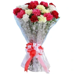 Deliver Online Mixed Carnations Bunch