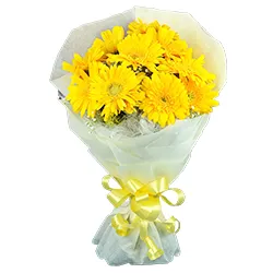 Send Yellow Gerberas Bouquet Online