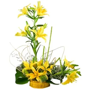 Special Arrangement of  5 Stem Yellow Lilies to India.