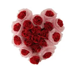 Long Lasting  Heart Shaped Arrangement of Red Roses