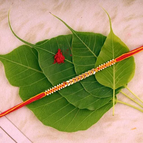 A Rakhi Karishma