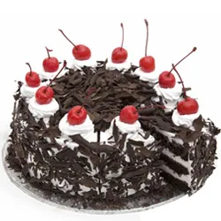 Buy Black Forest Cake for Anniversary