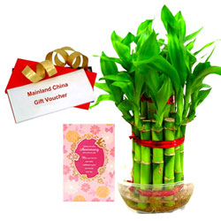 Admirable Gift of Indoor Bamboo Plant, Anniversary Card and Mainland China Voucher