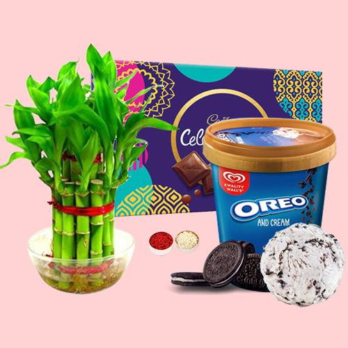 Lovely Kwality Walls Oreo Ice Cream n Lucky Bamboo Plant n Chocolates