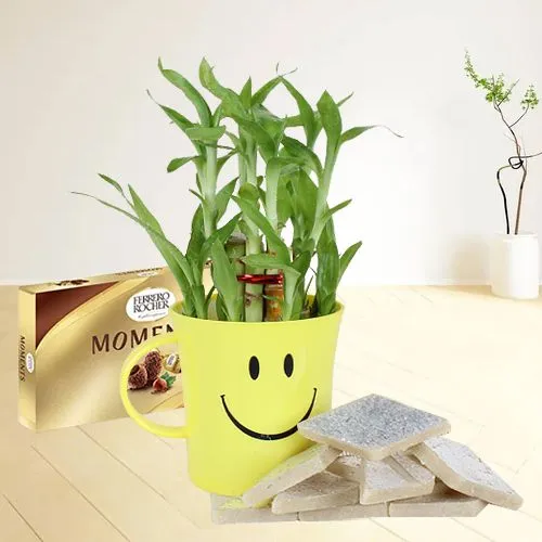 Deliver Bamboo Plant in Smiley Container with Sweets and Chocolates   	