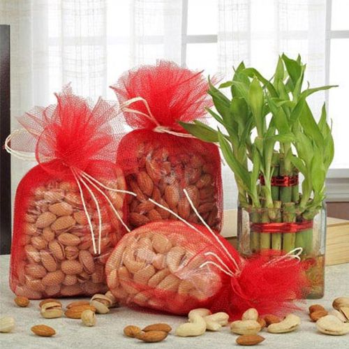 Auspicious Lucky Bamboo Plant in a Glass Vase With Assorted Dry Fruits
