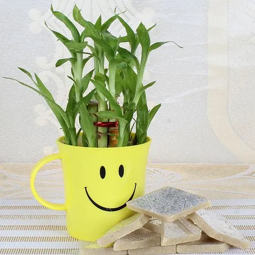 Tempting Kaju Katli with Lucky Bamboo Plant in a Smiley Container