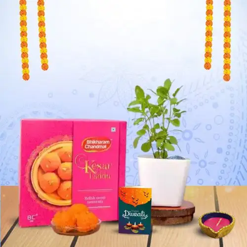 Kesar Laddu, Tulsi, And Diya Delight