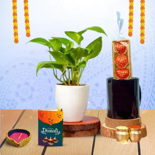 Festive Diwali Hamper