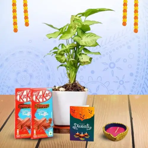 Green And Sweet Diwali Surprise