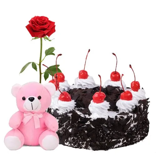 Order Black Forest Cake with Rose N Teddy