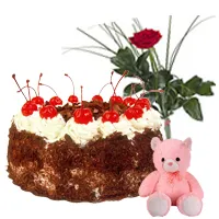 Order Black Forest Cake with Rose N Teddy