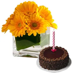 Shop for Yellow Gerberas in Vase with Chocolate Cake and Candles