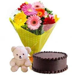 Online Teddy with Chocolate Cake and Mixed Gerberas Bouquet