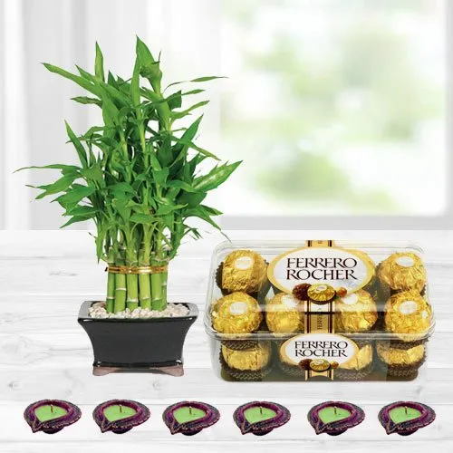 Diwali Gift of Lucky Bamboo Plant with Chocolates