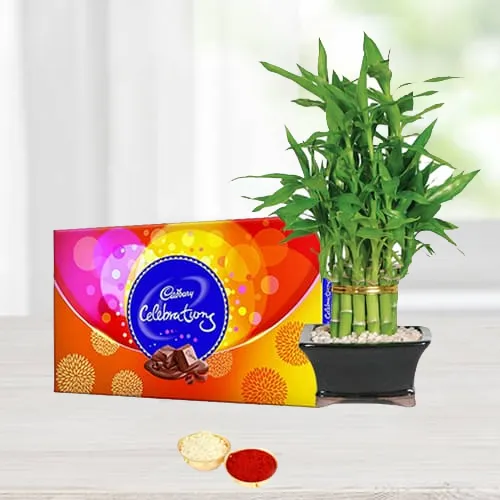 2 Tier Bamboo Plant N Celebrations Pack