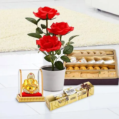 Exclusive Red Rose Plant N Assortments Combo