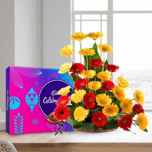 Full of Love Gerbera Bouquet with Cadbury Celebration
