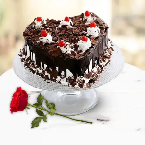 Mouth-Watering Black Forest Cake N Single Red Rose Combo