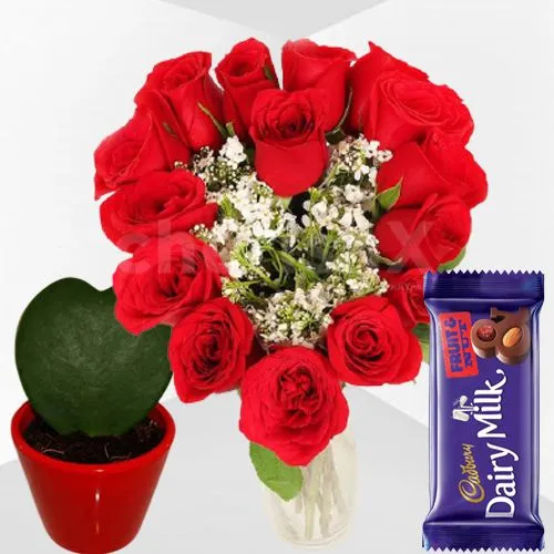 Delightful Combo of Heart Shape Red Roses, Cadbury Chocolate N Hoya Heart Plant