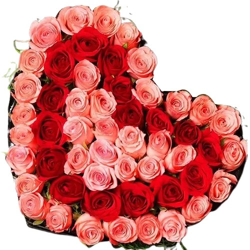 Admirable Romantic Heart Arrangement of Pink  N  Red Roses	