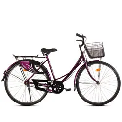 Bsa ladybird splash 2025