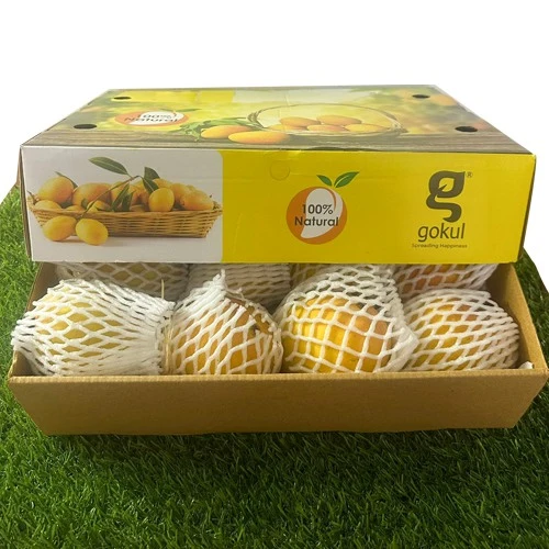 Delicious Alphonso Mango Cart