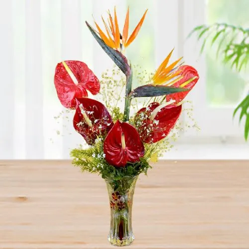 Exotic Vase Arrangement of Anthurium  N  BOP