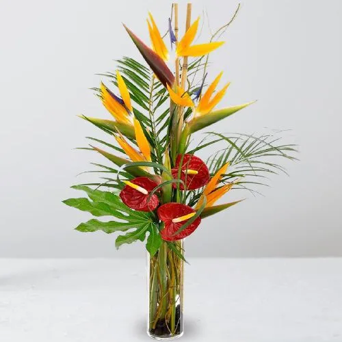 Enticing Arrangement of BOP n Anthurium
