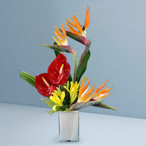 Rainbow Connection Exotic Flower Vase