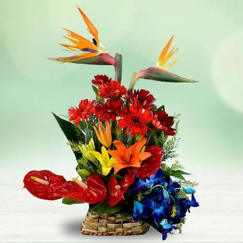 Gorgeous Pallet of Colors Floral Basket