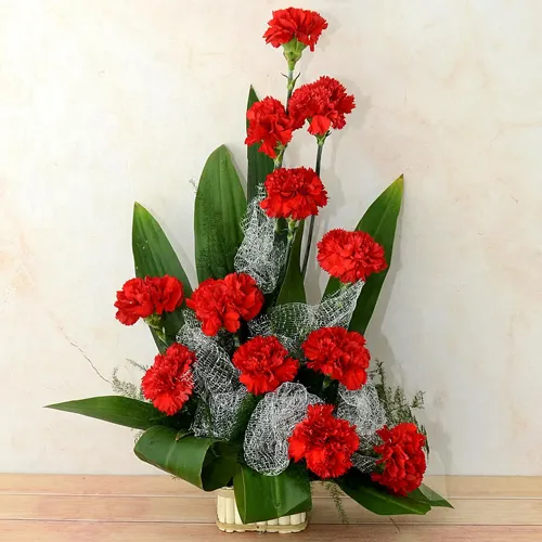 Order One Dozen Carnations Bouquet online