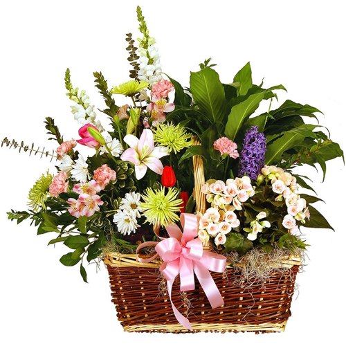 Flowers to India by India Florist