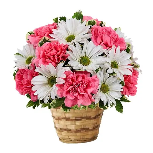 Send Carnations and Gerberas Bamboo Pot Arrangement