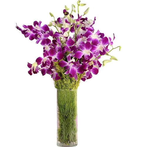 Buy Exotic Orchids Placed in a Glass Vase