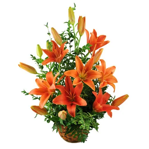Amazing Orange Lilies Basket Arrangement