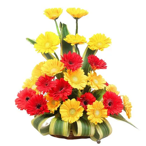 Send Assorted Roses in a Vase Online