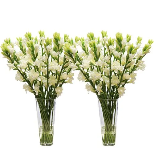 Circle of Life Tuberoses in Separate Vase