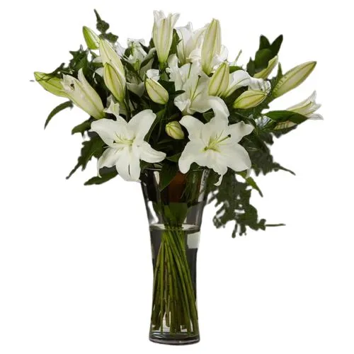 Heaven Sent White Asiatic Lily in Vase