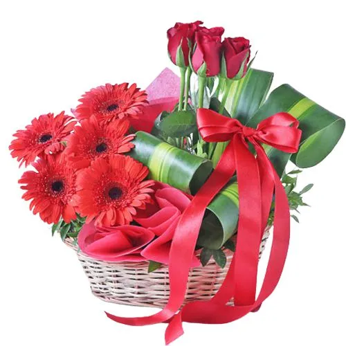 Order Red Gerberas N Roses Basket Arrangement Online