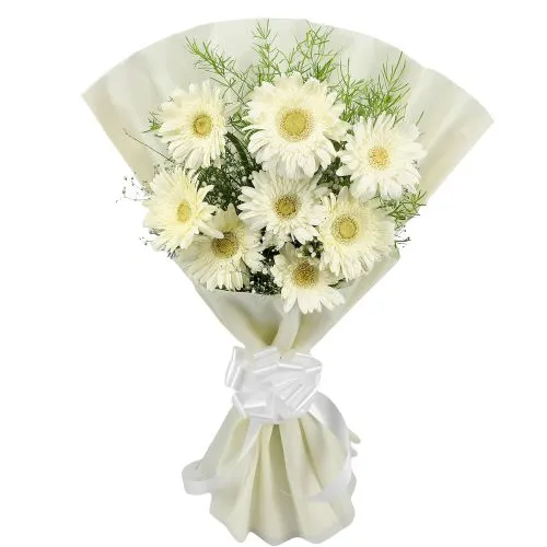 Stunning White Gerberas Bouquet in Tissue Wrap