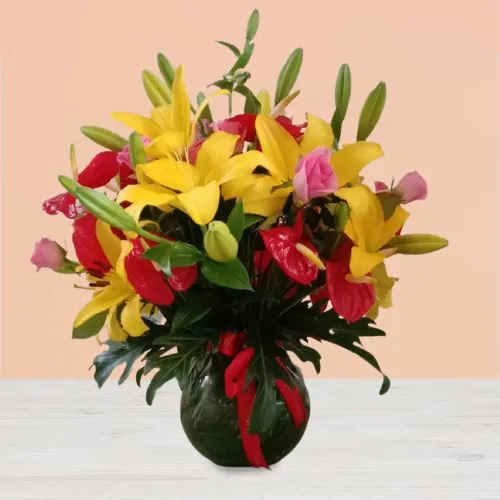 Shop for Red Anthurium N Yellow Lily in a Pot