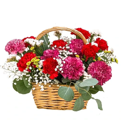 Special Arrangement of 30 Mixed Carnations to India.